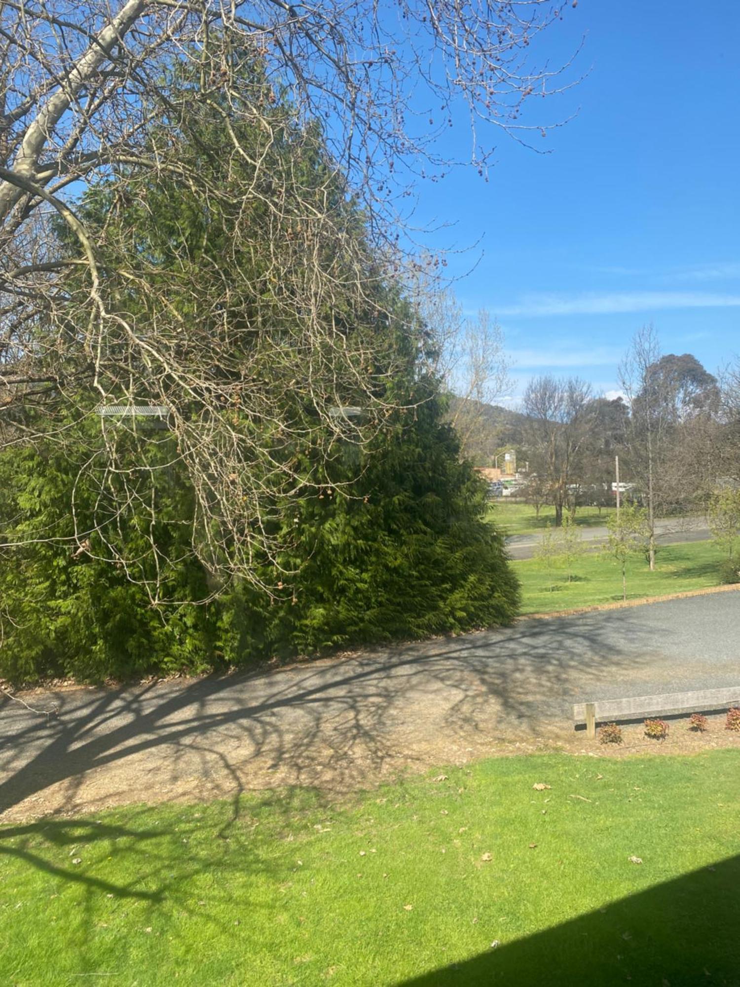 Tumbarumba Motel & Elms Restaurant ภายนอก รูปภาพ